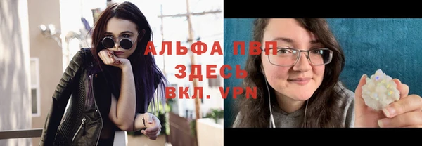 дмт Верея