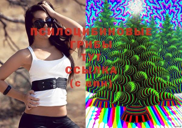 круглые Вяземский