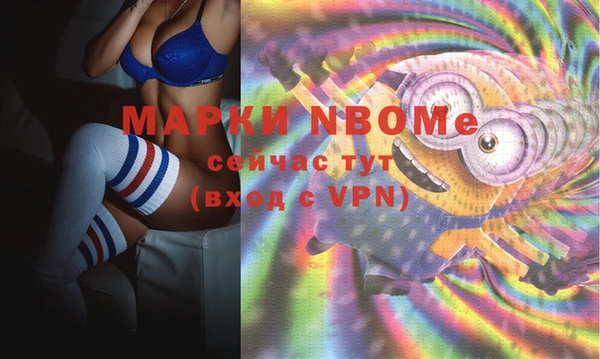 дмт Верея