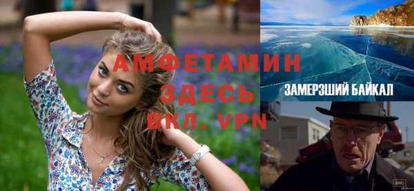 амф Верхний Тагил