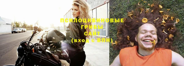 круглые Вяземский