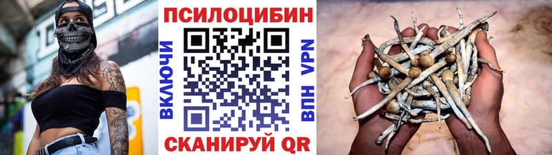 гидра вход  где купить   Ивангород  Псилоцибиновые грибы Psilocybine cubensis 