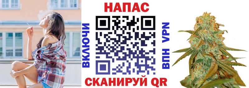 Конопля марихуана Ивангород